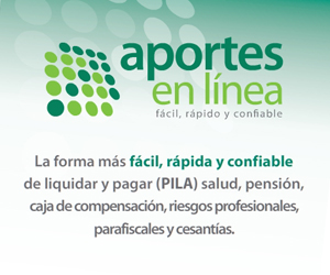 Aportes en Línea